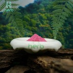 Organic Pink Pitaya Powder Manufacturer - OEM/ODM 100% Native Water Soluble Red Dragon Fruit Powder