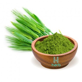 Organic Barley Grass Juice Powder Manufacturer - OEM/ODM Premium Barley Grass Supplement