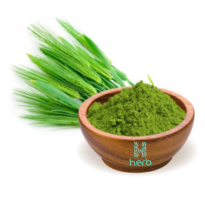 Organic Barley Grass Juice Powder Manufacturer - OEM/ODM Premium Barley Grass Supplement