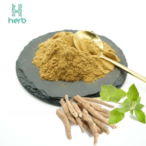 Ashwagandha Root Extract Powder Manufacturer - OEM/ODM Wholesale 2.5% 5% Withanolides Organic Withania Somnifera