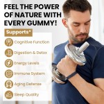 OEM Shilajit Gummies Manufacturer - Private Label Organic Natural Himalayan Shilajit Resin Extract Supplement