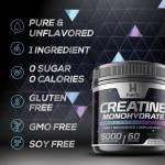 Creatine Monohydrate Powder Manufacturer - ODM/OEM Supplement with Complex Vitamins Minerals for Energy Support