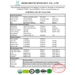 Freeze Dried Pineapple Powder Manufacturer - OEM/ODM 100% Native Water Soluble Pure Pineapple Extract Juice Powder
