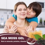 ODM/OEM Sea Moss Gel Manufacturer - Private Label Healthy Raw Nutrition Drink Elderberry Flavor (Adults Dietary Supplement)