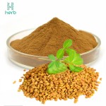 Fenugreek Seeds Extract Powder Manufacturer - OEM/ODM High Quality Pure 50% Saponins Fenugreek Powder