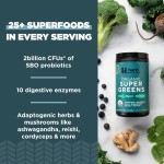 Organic Super Greens Powder Manufacturer - Private Label Mineral Superfood Dietary Fiber Multivitamin Supplement