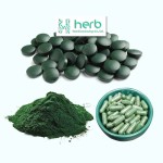 Organic Spirulina Powder Manufacturer - OEM/ODM Wholesale Bulk 100% Pure Green Food/Feed Grade