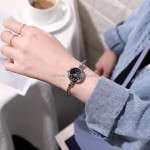 Lady Watch Supplier - Latest Elegant Lady Simple Watch for Women Luxury Watch