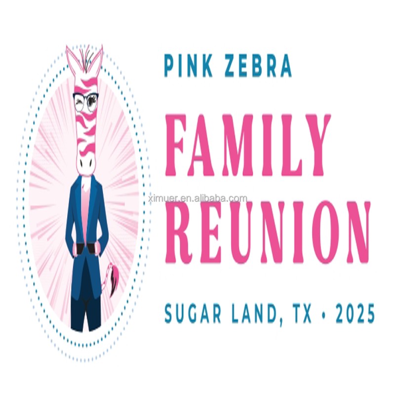 Safety Pin Factory - Hot Sale Stainless Steel Brooch Pin 100pcs Popular Market Safety Pin