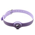 Reflective Dog Collar Supplier - Pet Anti-Lost Collar Waterproof Dog Leash Night Walking USB Charging Lamp