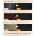 Hair Color Dye Gel Manufacturer - OEM Instant Fruit Essences Natural Black Hair Oil Gel Private Label