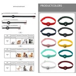 Reflective Pet Collar Supplier - Dog Collar Reflective Waterproof Transparent Cover Airtag Locator Anti-lost