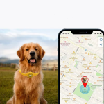 Airtag Dog Collar Manufacturer - Newest Wholesale Factory Adjustable Pet Dog GPS Anti-lost Tracker