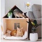 Cat Pheromones Diffuser Factory - Multi-Purpose Household Chemicals Refills Help Anxiety Stress Reduction