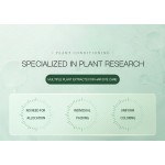 Herbal Hair Dye Supplier - Wholesale Custom Logo Natural Herbal Fruit Extract Black Hair Color Cream Gel