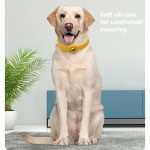 Reflective Dog Collar Supplier - Pet Anti-Lost Collar Waterproof Dog Leash Night Walking USB Charging Lamp