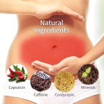 Slimming Belly Patches Manufacturer - Custom Package 5pcs Pack Stomach Wrap for Weight Loss