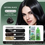 Herbal Hair Dye Supplier - Wholesale Custom Logo Natural Herbal Fruit Extract Black Hair Color Cream Gel