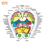 Foot Patches Supplier - Custom Label Natural Bamboo Vinegar Ginger Foot Pads Improve Sleep