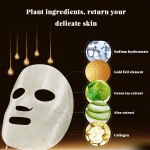 Free Sample Mask Supplier - Wholesale Bestseller Korean Skin Care Free Sample 24K Pure Gold Bioaqa Collagen Powder Crystal