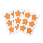 Incense Sheet Sticker Factory - Fragrant Patch Design Printing Custom Logo Non-woven Fabric