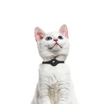 Pet Collar Supplier - Popular Suitable for Protective Cover Positioning Anti-Lost Waterproof Charging