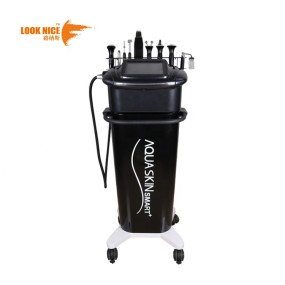 Aquaskin Machine Factory - 2025 Hot Beauty Salon Equipment 9 in 1 Korea Aquaskin Smart Multifunction Facial