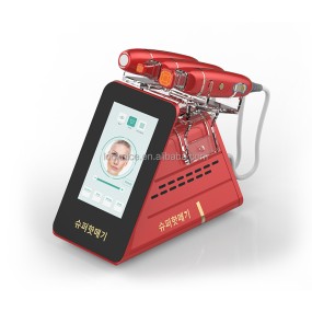 Wrinkle Remover Supplier - 2025 RF Professional Wrinkle Remover CPT Microneedle Portable Beauty Instrument