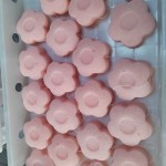 Konjac Sponge Supplier - Natural Flower Shape Konjac Face Cleaning Sponge Facial Exfoliator Puff
