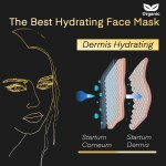 Women's Face Mask Factory - Masken Women's Whitening Face Mask Herbal Ingredient Sheet Form Cooling Fairness