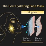 Women's Face Mask Factory - Masken Women's Whitening Face Mask Herbal Ingredient Sheet Form Cooling Fairness