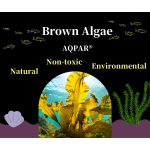 Women's Face Mask Factory - Masken Women's Whitening Face Mask Herbal Ingredient Sheet Form Cooling Fairness