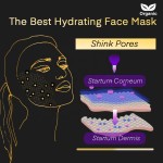 Women's Face Mask Factory - Masken Women's Whitening Face Mask Herbal Ingredient Sheet Form Cooling Fairness