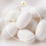 Silk Eye Mask Supplier - Custom Printed Logo 16mm Gift Set Pure Mulberry Silk with Pouch