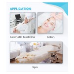 Vegan Face Mask Supplier - Vegan Luxury Herbal Face Mask for Skin Care Halal V-Line Cooling Whitening