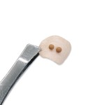 Acupuncture Beads Supplier - New Arrival Healthcare Supply Magnetic Acupuncture Ear Beads Pellets and Seeds for Acupressure