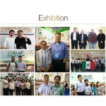 Facial Massage Tool Supplier - Electric Facial Massage Tool 24K Gold Vibration T Bar Face Lifting Firming Roller