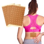 Stress Patch Factory - Top Selling Red Ginseng Patch Stress Patch Sports Pad Made in China Wholesale Price ODM