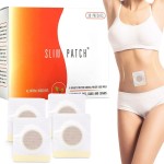 Magnet Therapy Factory - Natural Herbal Body Slimming Patch with Magnet Therapy for Wellness Support