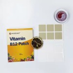 Vitamin B12 Patch Factory - 2025 New OEM Custom Design Vitamin B12 Patches Popular for Supporting Daily Nutrition