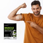 Muscle Support Supplier - Professional Muscle Support Patch Targeted Therapy for Active Lifestyles