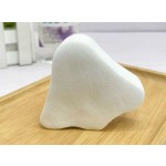 Mask Brush Manufacturer - Customized Logo Fan-shaped Fluffy Soft Facial Applicator Brushes