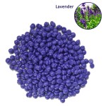 Waxing Beads Kit Factory - Hard Wax Beads 1000g for Waxing Kit Women Men Sensitive Skin