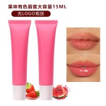 Clear Lipgloss Manufacturer - High Quality Private Label 15ML Shiny Clear Lipgloss Vegan Organic Wholesale Long Lasting