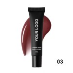 Lip Plumper Gloss Manufacturer - Private Label 6 Shades Peptide Color-Changing Nourishing Lip Balm Serum Hydrating