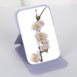 Makeup Brush Manufacturer - Wholesale Luxury Professional Single Makeup Brush High Quality Custom Logo Make up Tool Walnut