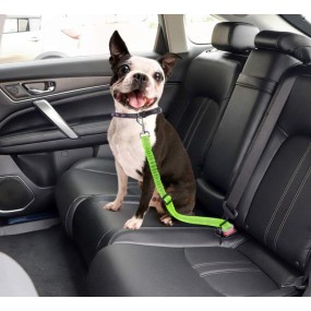 Car Seat Belt Leash Manufacturer - Reflective Dog Travel Accessory