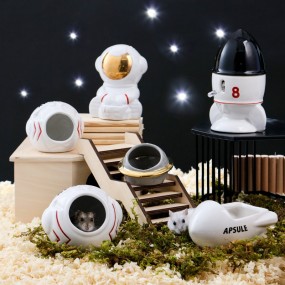 陶瓷宠物屋厂家-降温庇护所仓鼠小动物用