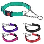 Dog Martingale Collar Manufacturer - Stainless Steel Training Collar