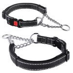 Dog Martingale Collar Manufacturer - Stainless Steel Training Collar